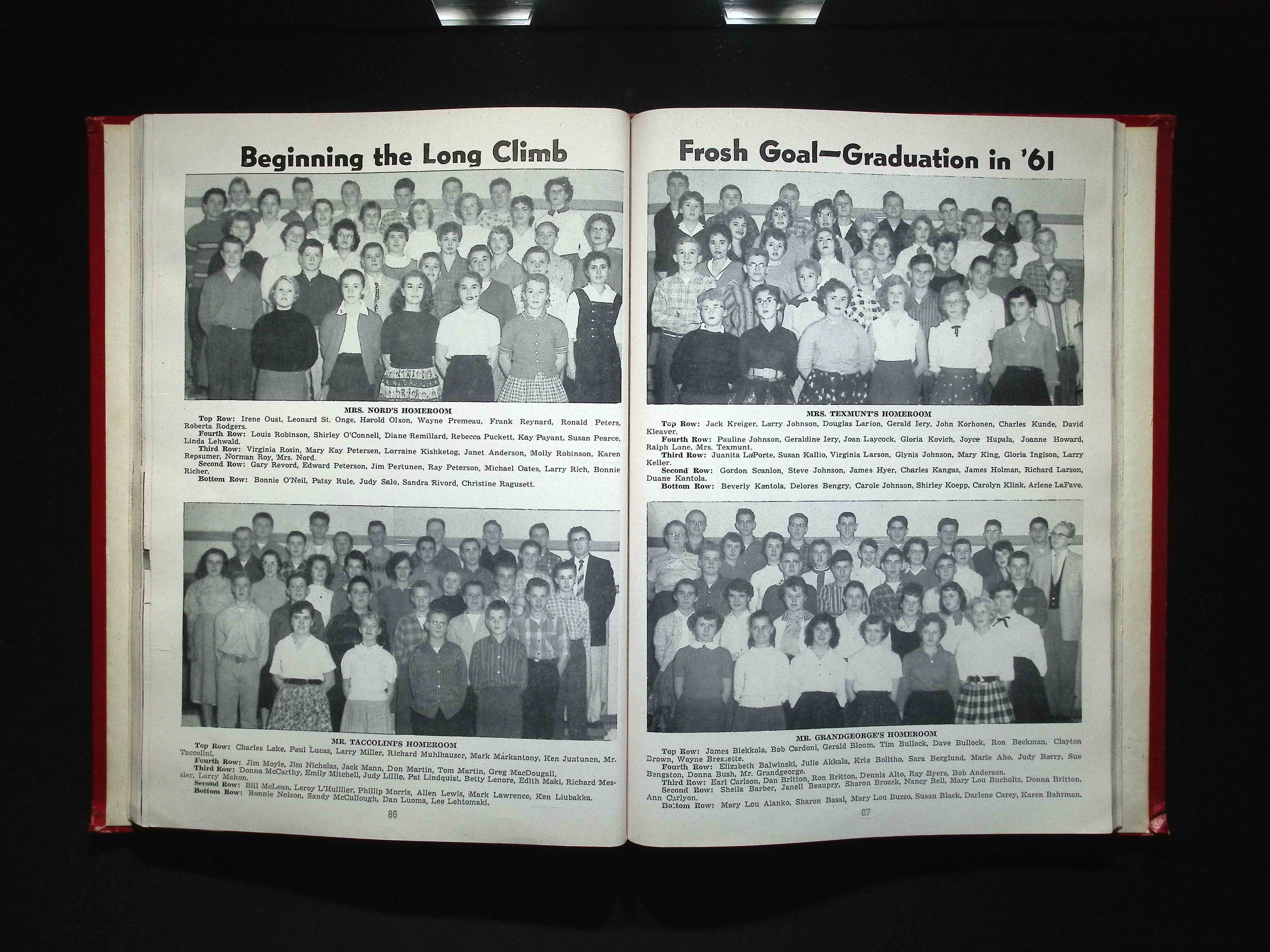 Image 46