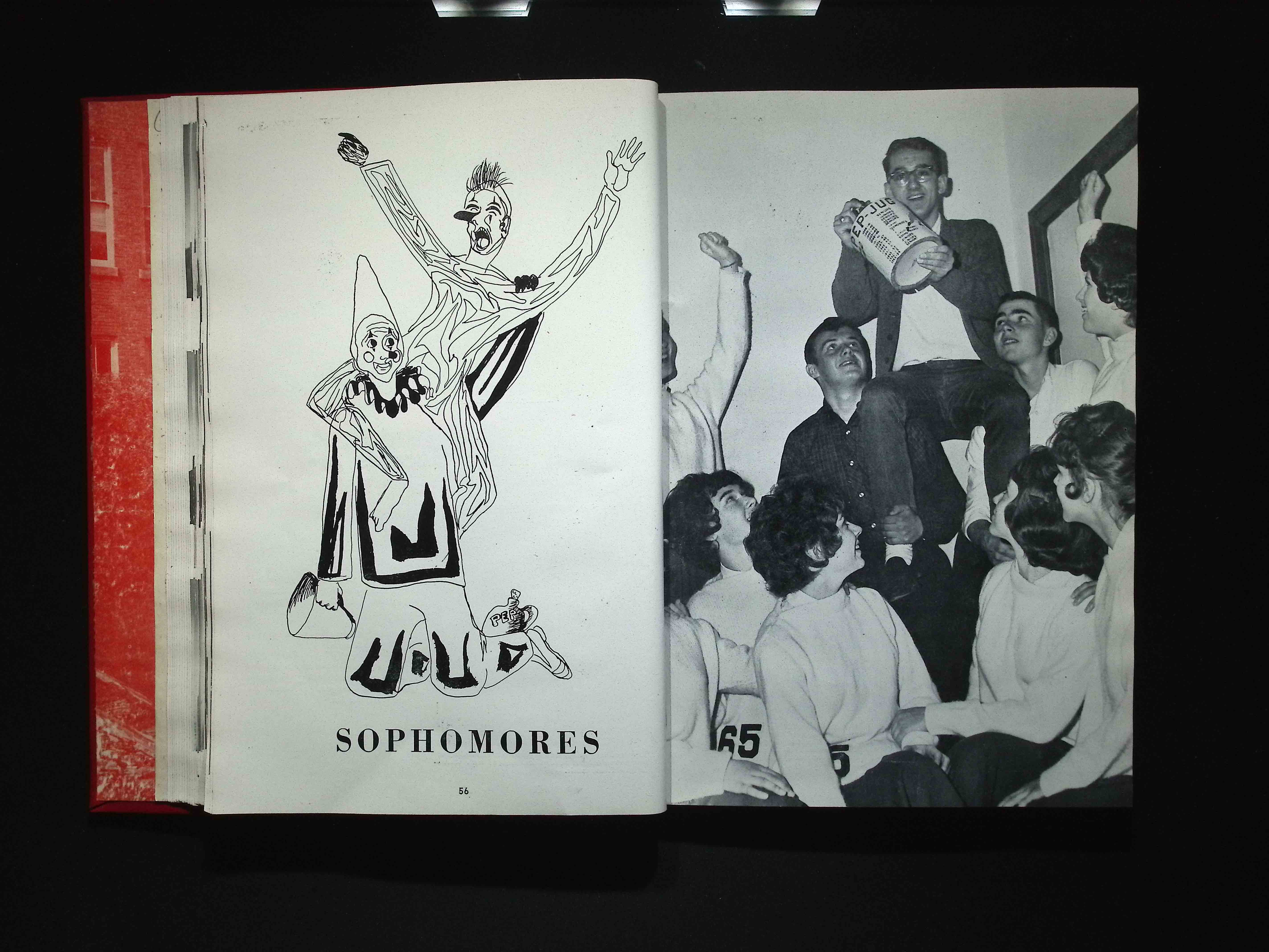 Image 31